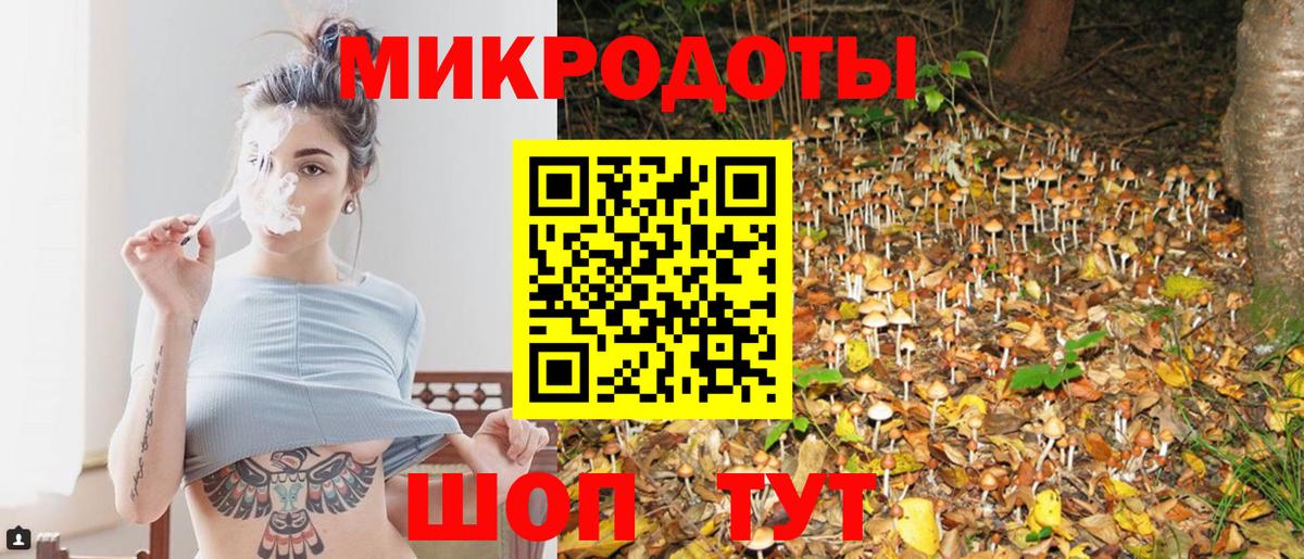 Елизово  Псилоцибиновые грибы GOLDEN TEACHER  Вход с VPN 